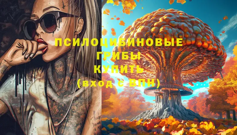 Галлюциногенные грибы MAGIC MUSHROOMS  Гудермес 